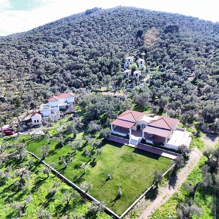 Gera'S Olive Grove - Elaionas Lesvou Hotell Marmaro  Eksteriør bilde