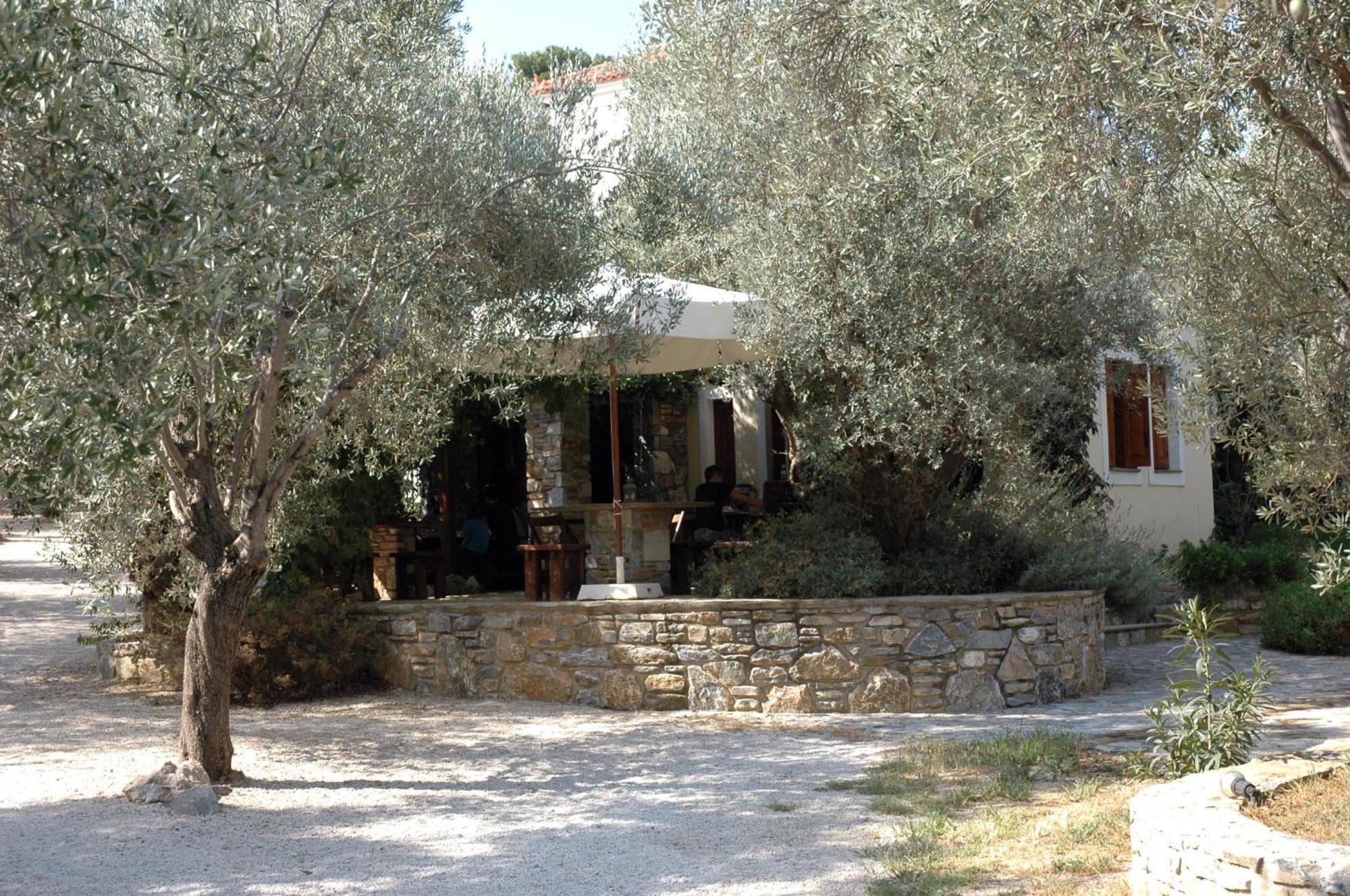 Gera'S Olive Grove - Elaionas Lesvou Hotell Marmaro  Eksteriør bilde