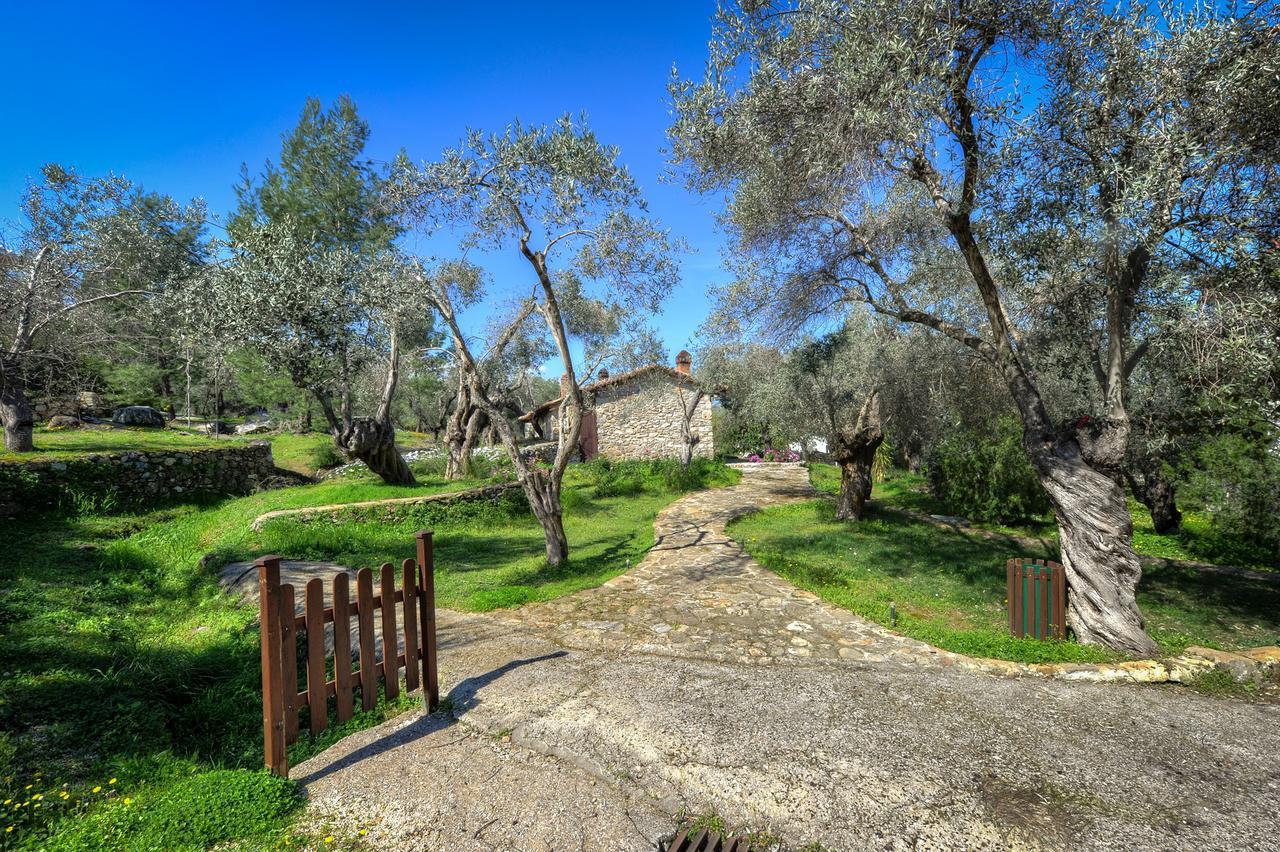 Gera'S Olive Grove - Elaionas Lesvou Hotell Marmaro  Eksteriør bilde